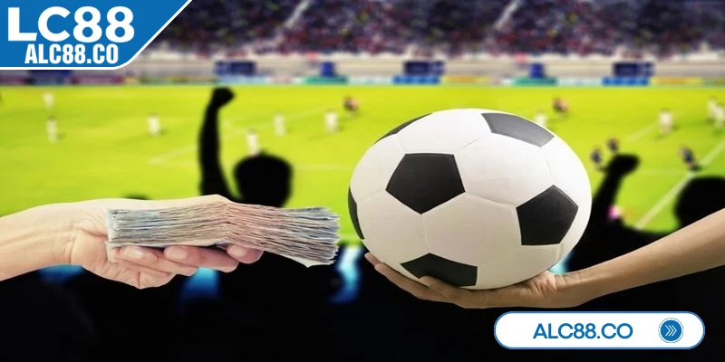 Áp dụng đúng cách giúp bạn chọn được những kèo với xác suất thắng cao