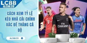 Cách Xem Tỷ Lệ Kèo Nhà Cái Chính Xác