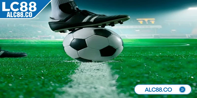 Dựa trên thống kê sẽ giúp anh em đưa ra quyết định chính xác hơn