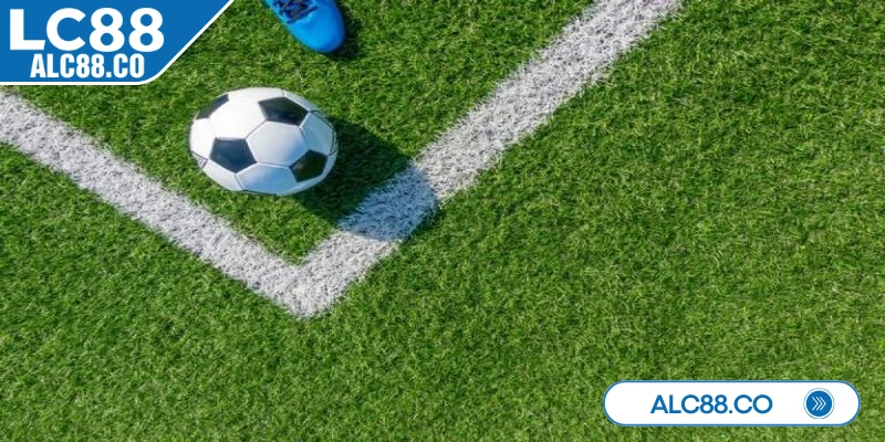 Hướng dẫn đọc kèo bóng đá cơ bản với kèo tài xỉu dễ hiểu